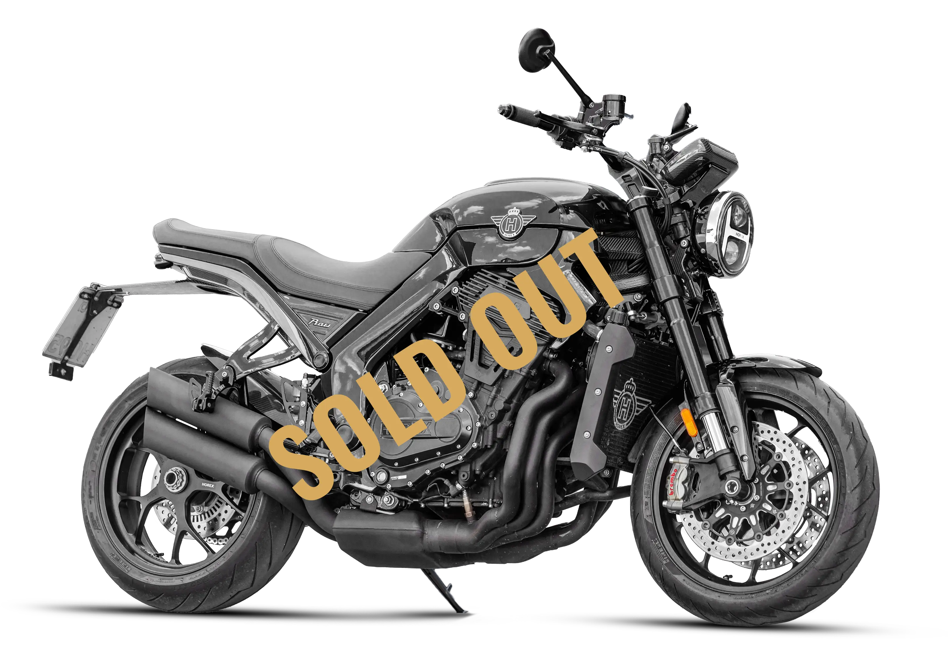 HOREX VR6 RAW 99